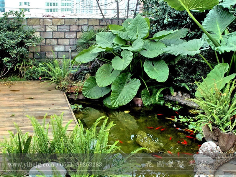 屋頂露臺花園